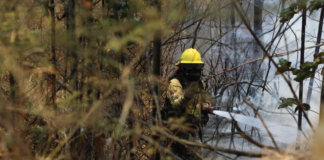 Un incendio forestal de grandes proporciones ha generado pánico en el norte de Quito este martes, afectando varias zonas desde Guápulo hasta el Parque Metropolitano Guang├╝iltagua, y poniendo en peligro viviendas en el centro-norte de la ciudad.