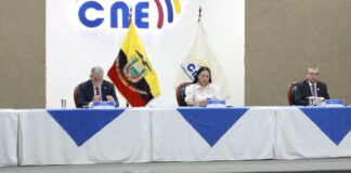 El principal motivo para la negación fue el incumplimiento de la causal 1 del artículo 105 del Código de la Democracia.