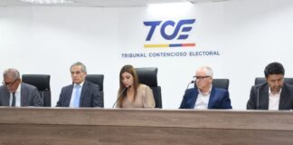 El proyecto de sentencia que después fue aprobado por el Pleno lo expuso el juez del TCE, Guillermo Ortega.┬á Señaló que hubo precandidatos que no presentaron la renuncia a la nominación y el movimiento los reemplazó sin contar con ese requisito.