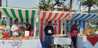 Delia Toabanda, representante de “VIKYÔÇÖS STORE” y participante de la feria, dijo sentirse muy agradecida por la invitación de parte de la Dirección de Planificación del GADMR, para formar parte de la celebración del Parque la Libertad, espacio que les permite a todos los emprendedores participantes exhibir y comercializar sus productos a la ciudadanía en general a precios cómodos y accesibles.