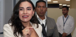 El Tribunal Penal especializado en delitos de corrupción y crimen organizado de la Corte Provincial de Pichincha solicitó este viernes, 22 de noviembre de 2024, a la Corte Constitucional que se pronuncie sobre la suspensión de la vicepresidenta de la República, Verónica Abad, dispuesta por el Ministerio de Trabajo el pasado 8 de noviembre.