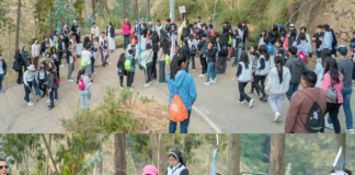 El Gobierno Provincial de Tungurahua, a través de su Vivero Provincial y la Dirección de Recursos Hídricos y Conservación Ambiental, refuerza su compromiso con la sostenibilidad ambiental mediante un programa de forestación y reforestación diseñado para atender las necesidades específicas de los distintos territorios de la provincia.┬á