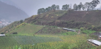 Un accidente de tránsito tuvo lugar en el sector Limón, en el cantón Pallatanga, provincia de Chimborazo, el 19 de diciembre, el incidente se registró cuando un vehículo perdió la pista y volcó, cayendo aproximadamente 30 metros fuera de la calzada.