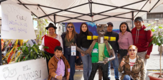 La provincia de Chimborazo vivió una emotiva despedida del año 2024 con la celebración de la “Exhibición de Años Viejos y Presentación de Artistas”, un evento lleno de alegría y tradición, organizado por la Coordinación de Talento Humano de la Prefectura. ┬á