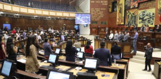 El presidente Daniel Noboa vetó totalmente las reformas a la Ley Orgánica de la Función Legislativa, que pretendía sancionar los 'camisetazos' en la Asamblea Nacional.