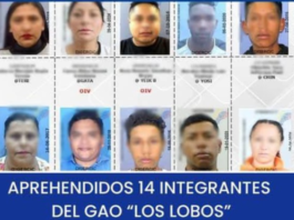 La madrugada del 20 de marzo, un mega operativo de la Policía Nacional y la Fiscalía en cuatro provincias del país desmanteló una presunta red de delincuencia organizada vinculada a los atentados de enero de 2024.