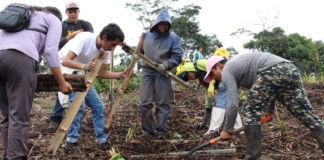 En una iniciativa nacional para restaurar ecosistemas degradados y fortalecer la resiliencia ambiental, el pasado 21 de marzo se llevó a cabo una jornada simultánea de reforestación en seis provincias del país.