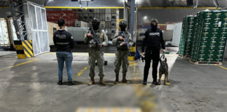A la 01h30 del 8 de abril, un contenedor que tenía como destino final Bélgica fue interceptado en el puerto marítimo de Guayaquil durante un operativo antidrogas. Oculta entre carga legal, la Policía halló una cantidad no especificada de droga, camuflada con sellos aparentemente oficiales.