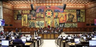 Durante la semana del 26 de mayo al 1 de junio, la Asamblea Nacional del Ecuador desarrollará importantes sesiones legislativas centradas en la designación de autoridades de dos comisiones especializadas permanentes y en el análisis de un pedido de autorización para iniciar un proceso penal contra la exasambleísta Esther Cuesta Santana.