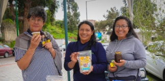 La ciudad de Ambato se convirtió en el corazón de la apicultura ecuatoriana al albergar la Primera Feria Nacional de Apicultura ÔÇô APIMIEL 2025, un evento que reunió a más de 30 productores de miel de todo el país.