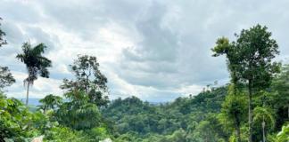 Con el liderazgo de la UTPL y el respaldo del GCBC, un proyecto de bioindustria amazónica transforma aceites esenciales en alternativas económicas sostenibles, al integrar ciencia, biodiversidad y participación comunitaria frente al cambio climático.┬á