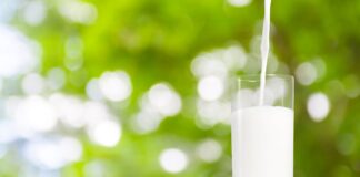 En una época en la que la alimentación se ha vuelto más consciente, informada y selectiva, muchas personas buscan opciones naturales, completas y que aporten beneficios reales a su bienestar. En este contexto, la leche, un alimento presente en la mesa de millones de ecuatorianos, se mantiene como una de las aliadas nutricionales más valiosas para el ser humano.