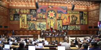 Este viernes 30 de mayo, a las 09:00, el Pleno de la Asamblea Nacional se reunirá en la sesión 006 para iniciar el primer debate del Proyecto de Ley de Solidaridad Nacional, una propuesta enviada con carácter económico urgente por el presidente de la República, Daniel Noboa Azín.