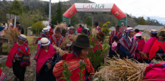 El Inti Raymi 2025 se puso de manifiesto en el alma de la comunidad en el Centro Turístico Comunitario Pucará Tambo, un lugar que ha dejado de ser solo un destino y se ha consolidado como un espacio de resistencia cultural.
