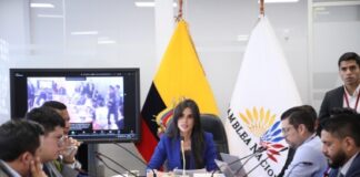 La Comisión de Participación Ciudadana y Control Social de la Asamblea Nacional resolvió este martes continuar con el proceso de fiscalización relacionado con los contratos firmados entre el Ministerio de Energía y Minas y la empresa Progen.