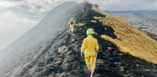El personal operativo de los Bomberos de Guamote logró sofocar un incendio forestal que afectó la comunidad de Yanarumi, ubicada en el cantón Guamote, en la provincia de Chimborazo. El siniestro, que se desató en la tarde del 24 de julio, amenazó con expandirse rápidamente, poniendo en peligro el ecosistema y la biodiversidad de la zona.