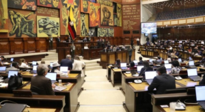 La Comisión de Protección Integral de Niñas, Niños y Adolescentes de la Asamblea Nacional se convirtió en escenario de denuncias, reclamos y compromisos urgentes frente a la grave crisis que atraviesa la red pública de salud en el país. El tema central: la atención neonatal, marcada en los últimos meses por la muerte de recién nacidos en hospitales de Guayaquil.