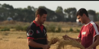 Con el objetivo de evitar una caída en los precios del arroz que afecte a los pequeños y medianos productores del país, el Ministerio de Agricultura y Ganadería (MAG) anunció la compra de 50 mil toneladas de este grano. Así lo confirmó el titular de esta cartera de Estado, Danilo Palacios, durante una entrevista con el medio especializado AgroEcuador TV.