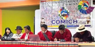 El Movimiento Indígena de Chimborazo (Comich) ha convocado acciones de protesta progresivas en la provincia, en rechazo al Decreto Ejecutivo 126 que suprimió el subsidio al diésel automotor, elevando su precio de USD 1,80 a USD 2,80 por galón, con un régimen de bandas hasta diciembre de 2025.