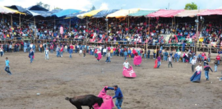 El cantón Guano vivió el 27 de septiembre una jornada de fe y tradición en el marco de las Fiestas en Honor a la Virgen de las Mercedes. Desde las 14h00 se realizó la Primera Gran Corrida de Toros con ejemplares de la ganadería Señor de la Buena Muerte, evento que fue acompañado por actividades religiosas, deportivas y culturales.