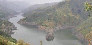 El Operador Nacional de Electricidad (Cenace) informó que Ecuador generó 38 637 MWh de electricidad entre las 00H00 y las 11H00 de este lunes, 8 de septiembre de 2025. La mayor parte provino de las hidroeléctricas, que aportaron el 70%. La generación térmica sumó el 16,6% y las importaciones desde Colombia subieron al 12,6%.