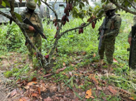 En el marco de las operaciones de control de armas, municiones y explosivos, personal del Ejército Ecuatoriano realizó este 3 de septiembre, un operativo en el cantón Las Naves, provincia de Bolívar, que permitió el decomiso de dos armas de fuego y municiones.