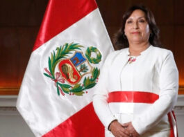 Congreso peruano destituye a Dina Boluarte y designa presidente interino