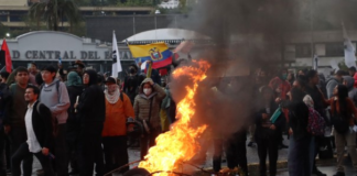 La directora de comunicaciones del Fondo Monetario Internacional (FMI), Julie Kozack, se refirió este 2 de octubre de 2025 a la eliminación del subsidio al diésel en Ecuador, anunciado por el Gobierno de Daniel Noboa el 12 de septiembre de 2025.