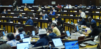 El despliegue de la Policía Nacional y las Fuerzas Armadas durante las recientes movilizaciones del paro nacional ha generado un nuevo choque de posiciones entre las bancadas de la Revolución Ciudadana (RC) y Acción Democrática Nacional (ADN) en la Asamblea Nacional.