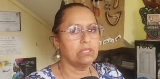 La presidenta de la Cámara de Turismo de Pastaza, Sofía Salas, informó que durante el reciente feriado del 9 de Octubre, la provincia registró apenas un 30% de afluencia turística, cifra inferior a la esperada por el sector.