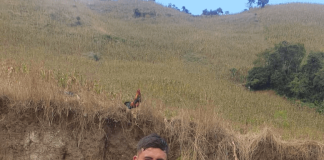 Cinthya de Lourdes Flores, nacida en la provincia de Bolívar, Ecuador, es una joven de 18 años destacada por su dedicación, carisma y compromiso con su comunidad. Actualmente cursa la carrera de Odontología en la Universidad Autónoma de Los Andes (UNIANDES), donde se prepara para convertirse en una profesional al servicio de la salud y el bienestar de las personas.