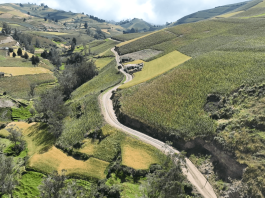 La Prefectura de Bolívar, liderada por el prefecto Aníbal Coronel Monar, concluyó los trabajos de mantenimiento vial en el tramo Illapa – Verdetingo, perteneciente a la parroquia Santa Fe del cantón Guaranda. La obra beneficia a comunidades agrícolas y fortalece la conexión entre los cantones Guaranda y Chimbo.
