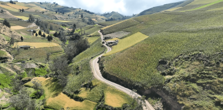 La Prefectura de Bolívar, liderada por el prefecto Aníbal Coronel Monar, concluyó los trabajos de mantenimiento vial en el tramo Illapa – Verdetingo, perteneciente a la parroquia Santa Fe del cantón Guaranda. La obra beneficia a comunidades agrícolas y fortalece la conexión entre los cantones Guaranda y Chimbo.