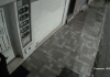 Una pareja fue captada por cámaras de seguridad mientras intentaba forzar las seguridades de un local comercial ubicado en la avenida Veloz, en Riobamba, durante la madrugada. En las imágenes se observa a un hombre manipulando la cerradura mientras una mujer vigila los alrededores.