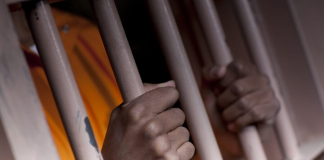 En Riobamba, una investigación minuciosa y un operativo discreto culminaron con la sentencia de un sujeto, quien aceptó haber almacenado y comercializado marihuana desde su vivienda.