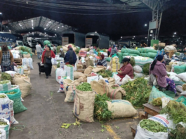 Alcides Quinatoa, gerente de la Empresa Pública Municipal Mercado Mayorista de Ambato (EP-EMA), informó que, pese a los bloqueos registrados en el país, el centro de abasto más grande de la ciudad mantiene el suministro normal de productos agroalimentarios.