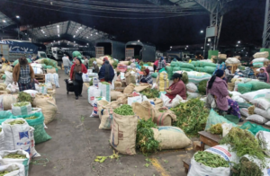 Alcides Quinatoa, gerente de la Empresa Pública Municipal Mercado Mayorista de Ambato (EP-EMA), informó que, pese a los bloqueos registrados en el país, el centro de abasto más grande de la ciudad mantiene el suministro normal de productos agroalimentarios.