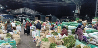 Alcides Quinatoa, gerente de la Empresa Pública Municipal Mercado Mayorista de Ambato (EP-EMA), informó que, pese a los bloqueos registrados en el país, el centro de abasto más grande de la ciudad mantiene el suministro normal de productos agroalimentarios.