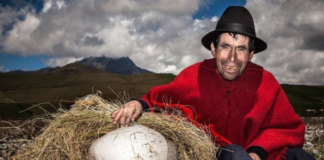 El Municipio de Guano tributará un homenaje póstumo a Baltazar Ushca, conocido como el “Hielero del Chimborazo”, al cumplirse el primer aniversario de su deceso. El evento central se realizará el domingo 5 de octubre, a las 17h00, en el teatro Homero Avilés, con un programa cultural gratuito.