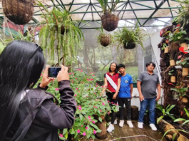 Ambato se prepara para vivir un feriado lleno de arte, música, patrimonio y naturaleza. La Tierra de la fruta y de las flores abre sus puertas a turistas nacionales y extranjeros con una agenda cultural diversa que refleja su identidad y tradición.