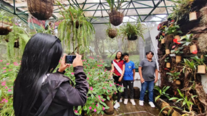 Ambato se prepara para vivir un feriado lleno de arte, música, patrimonio y naturaleza. La Tierra de la fruta y de las flores abre sus puertas a turistas nacionales y extranjeros con una agenda cultural diversa que refleja su identidad y tradición.