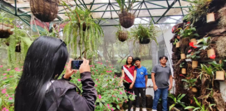 Ambato se prepara para vivir un feriado lleno de arte, música, patrimonio y naturaleza. La Tierra de la fruta y de las flores abre sus puertas a turistas nacionales y extranjeros con una agenda cultural diversa que refleja su identidad y tradición.