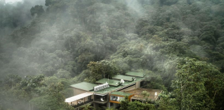 Ecuador brilla en el mapa mundial del hotelería de lujo. La Guía Michelin, reconocida internacionalmente por su exigente sistema de calificación, distinguió a cinco hoteles ecuatorianos con las Llaves Michelin 2025, el más alto reconocimiento a la excelencia en hospedaje.