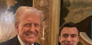 En un mensaje dirigido a Donald Trump y publicado en inglés en su cuenta de X, el presidente Daniel Noboa destacó los avances económicos del país y su compromiso de cooperación internacional “para defender la libertad y la prosperidad en la región”.