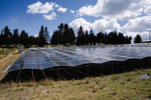 La eliminación de los subsidios a los combustibles en Ecuador ha generado un aumento inmediato en los costos de transporte, logística y producción.