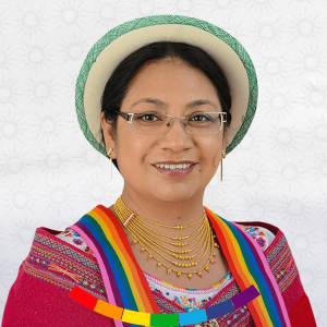La asambleísta por Bolívar, Mariana Yumbay, se pronunció sobre los hechos registrados en Otavalo e Imbabura durante las recientes manifestaciones sociales. En un comunicado público, la legisladora afirmó que el cantón “no es zona de guerra, sino territorio de dignidad”, y denunció lo que calificó como una brutal represión estatal contra los manifestantes.
