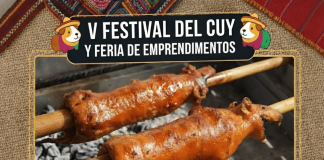 La parroquia rural de Guano organiza la “V Feria del Cuy y Emprendimientos” el domingo 2 de noviembre de 2025, ofreciendo una experiencia familiar cargada de sabor, tradición y creatividad local.