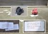 Este miércoles 15 de octubre de 2025, la ciudad de Pasaje, en la provincia de El Oro, fue escenario de un macabro hallazgo que ha generado alarma entre la población. Alrededor de las 04:30, una funda roja fue encontrada frente al edificio del Municipio, conteniendo una cabeza humana.