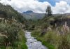 Los servicios ecosistémicos son los beneficios que la naturaleza brinda a la sociedad: agua limpia, aire puro, alimentos, regulación del clima y espacios de recreación que mejoran la calidad de vida. Su conservación resulta esencial para enfrentar los desafíos ambientales actuales y garantizar bienestar a largo plazo.