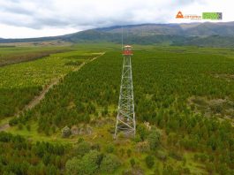 Aglomerados Cotopaxi reduce en más del 90% el impacto de los incendios forestales